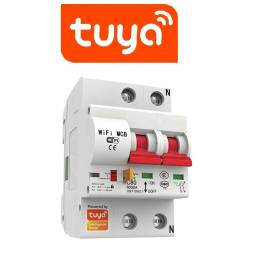 LLAVE TERMICA WIFI TUYASMART 40A