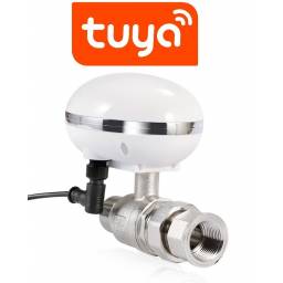 VALVULA DE AGUA WIFI TUYA SMART